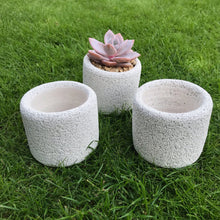Load image into Gallery viewer, Lightweight Concrete Cement Pot Round | Desk Indoor Plant Pot | Natural Minimalist

