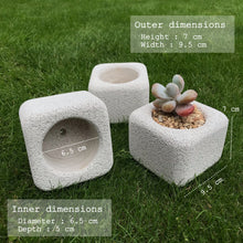 Load image into Gallery viewer, Lightweight Concrete Cement Pot Square | Natural Minimalist Style
