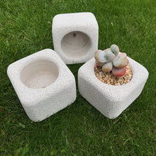 Load image into Gallery viewer, Lightweight Concrete Cement Pot Square | Natural Minimalist Style

